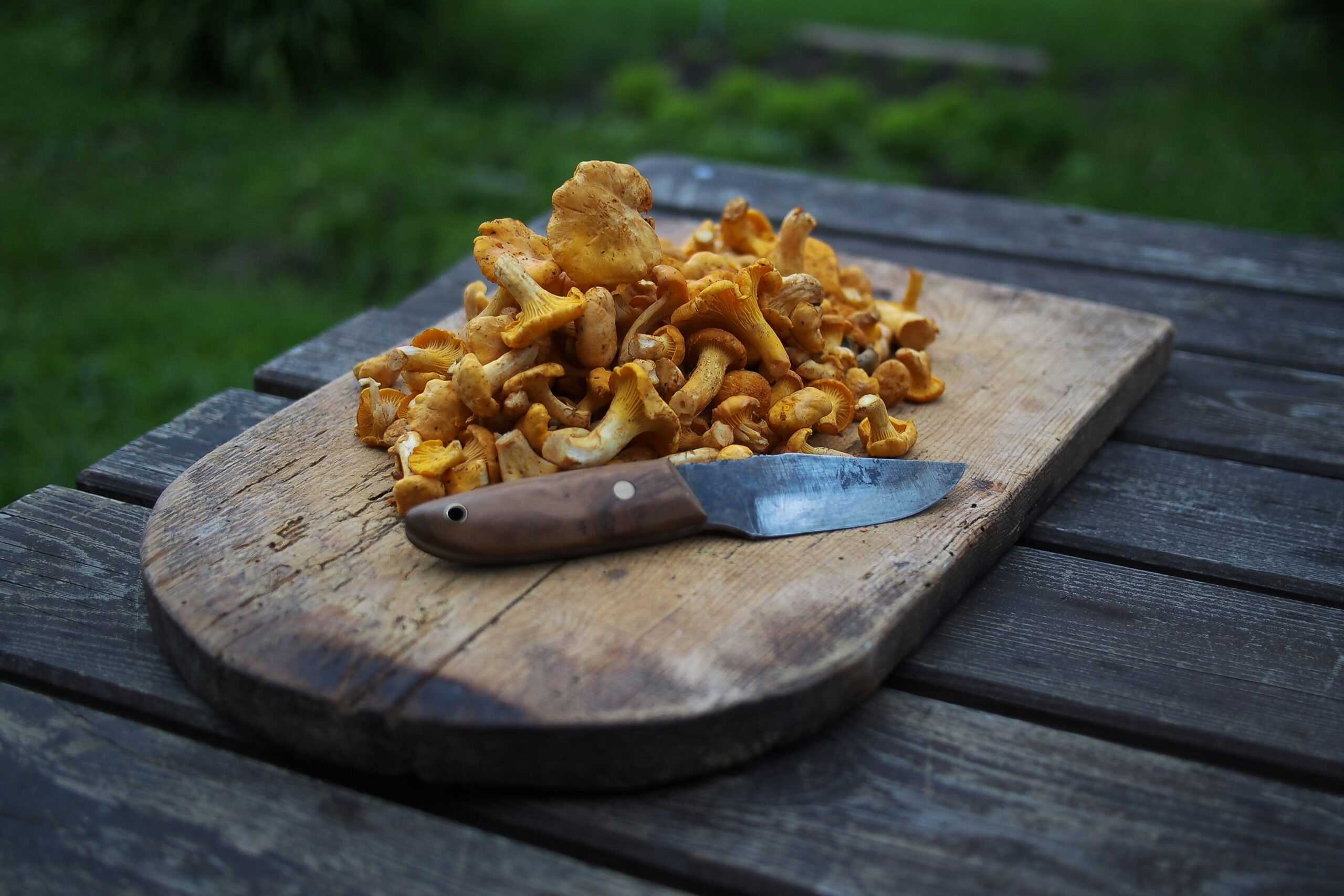 Chantarelles